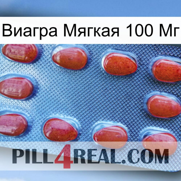 Виагра Мягкая 100 Мг 06.jpg